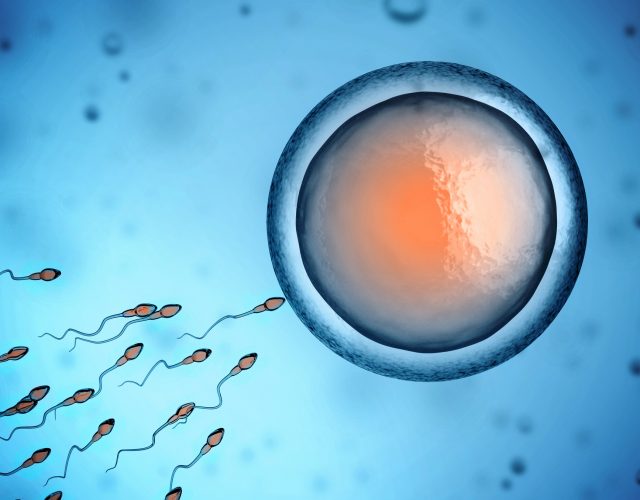 Assisted Fertility